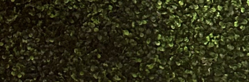𝓵𝓲𝓷𝓭𝔃𝓮𝔂 banner