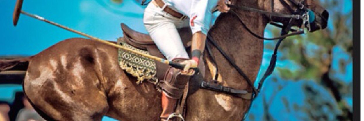 HIPoloAssn's profile banner image