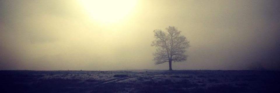 oldearthvoodoo's profile banner image