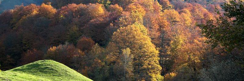 Largenté Bayonne banner
