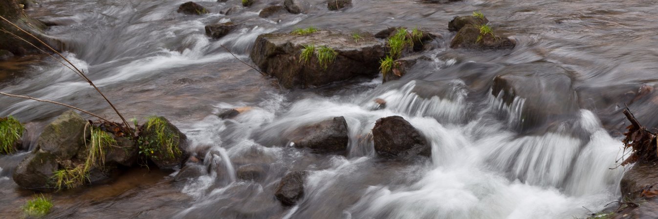 GVAwatershed's profile banner image