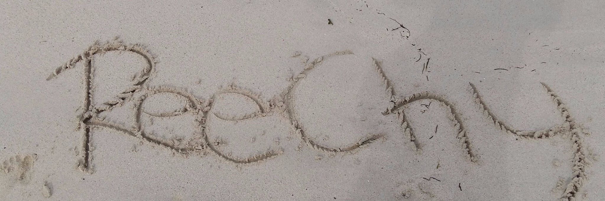 reechyzzz's profile banner image