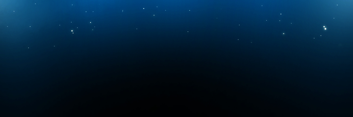 EssTrades's profile banner image