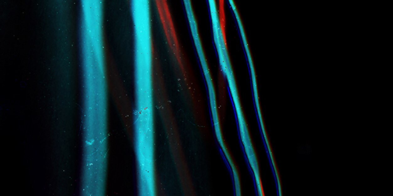 SoundclashNCL's profile banner image