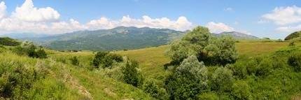 SBAPMolise's profile banner image