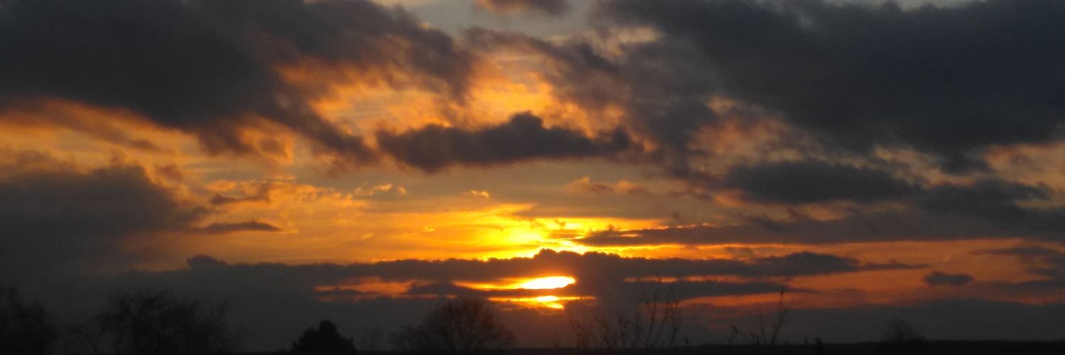 MRDLPTV's profile banner image