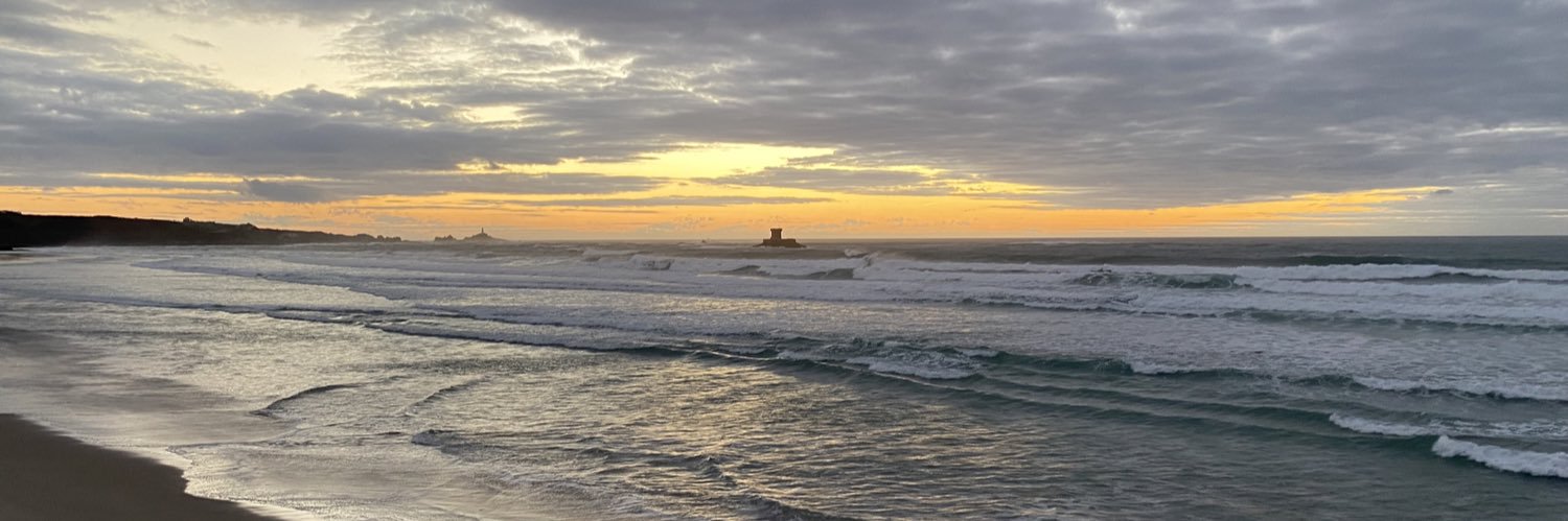James Pollock banner