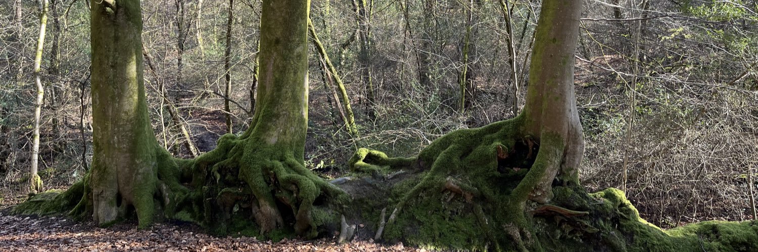 Joanna Blundell banner