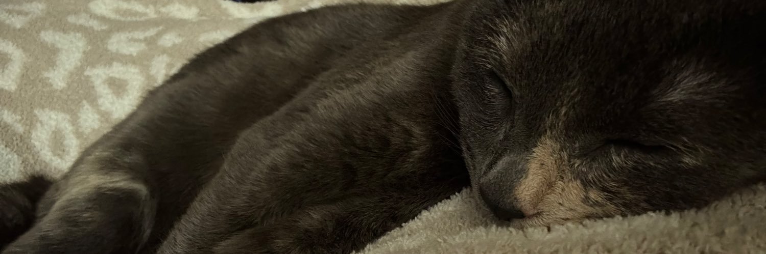 lezlizzlee's profile banner image