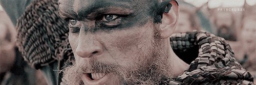 FlokiBets's profile banner image