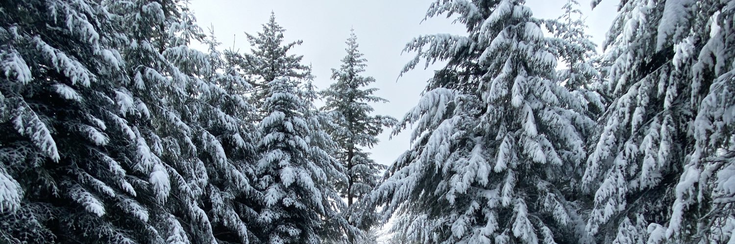 chloe_htzn's profile banner image