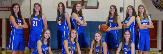 Lady MHS Basketball banner