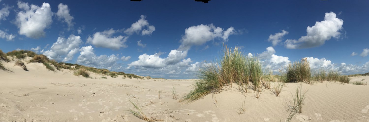 Markus Erlwein banner