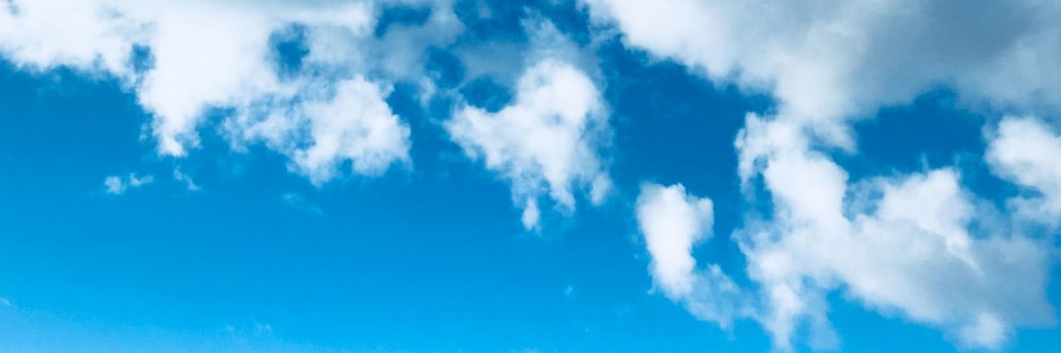 Netflights.com banner