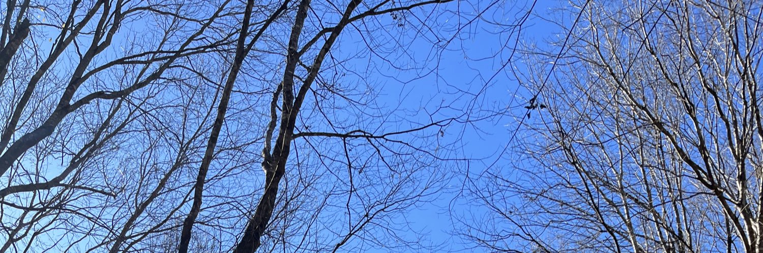 th_c88's profile banner image