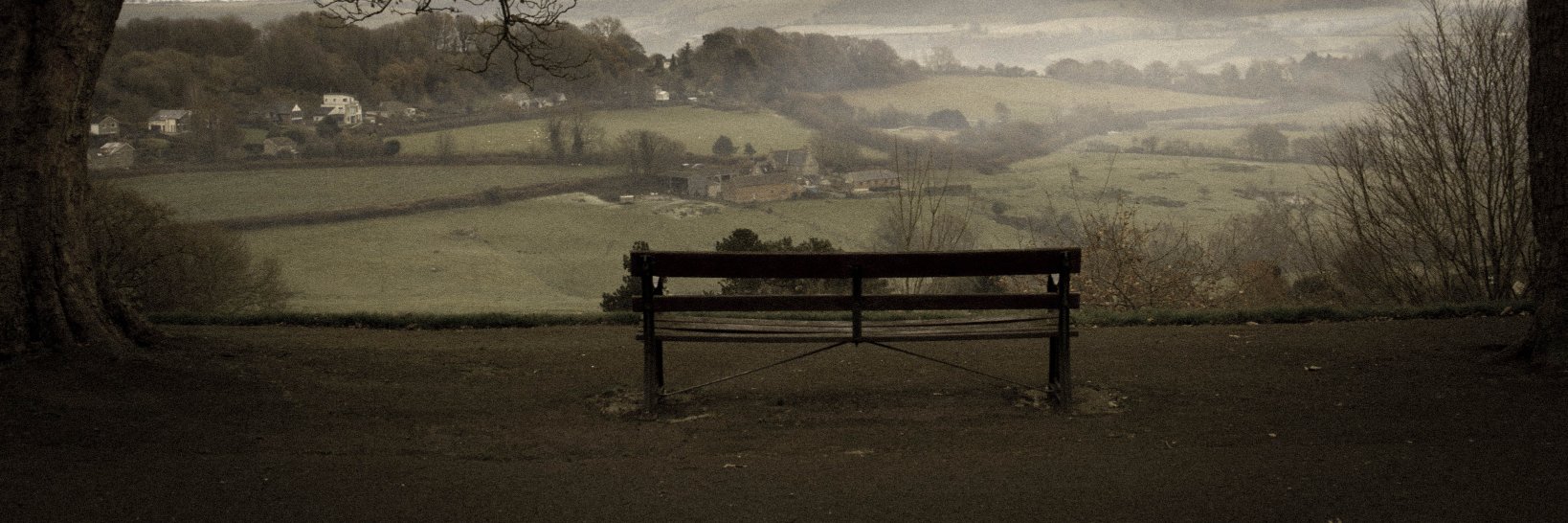 Angela Hughes banner