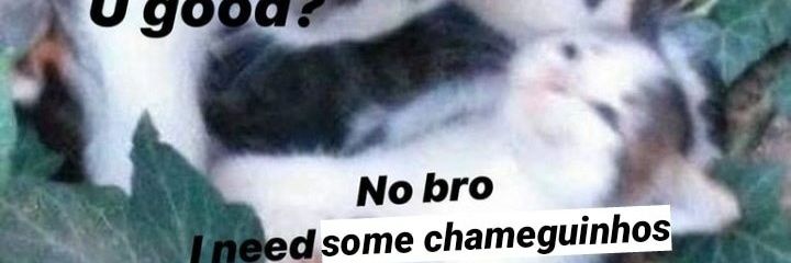 DelaoDaMassa's profile banner image
