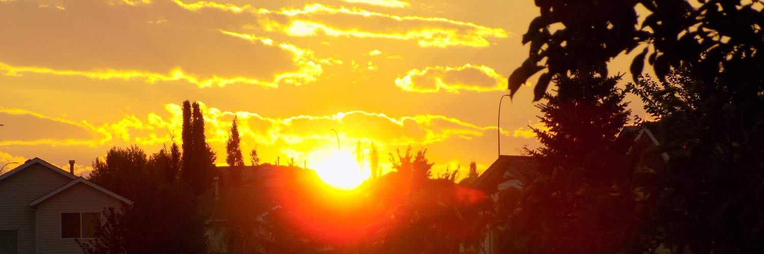 TLC ツ 🍁🌟Albertan 🇨🇦 🌟 banner