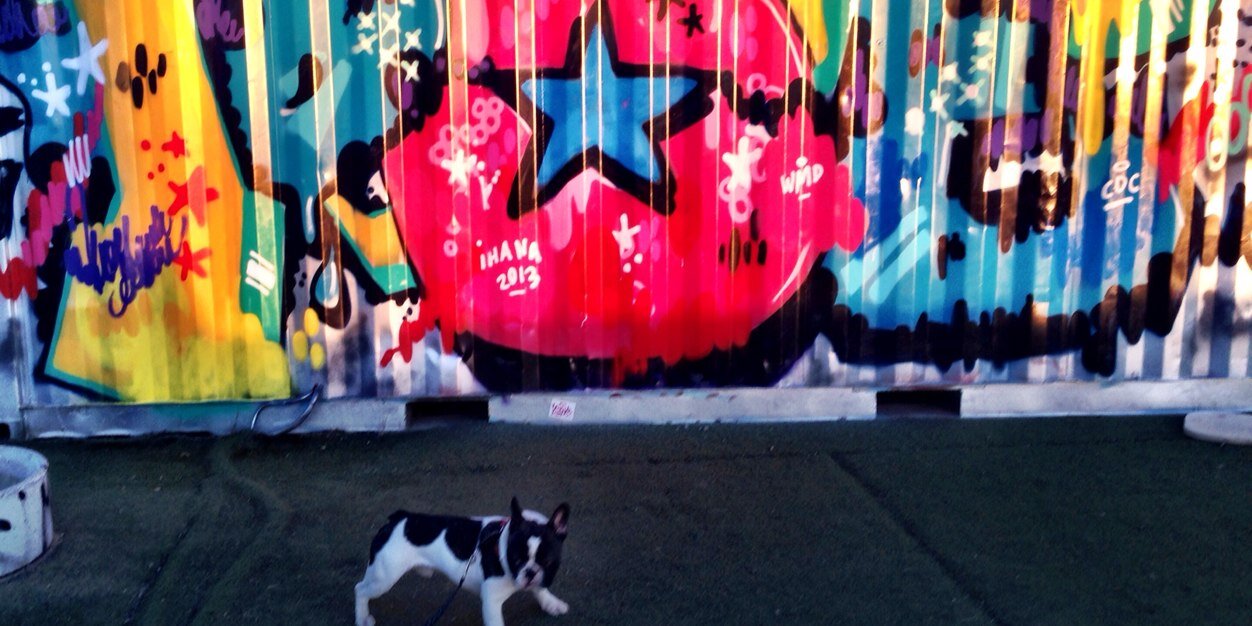 Lotta Ala-Kulju banner