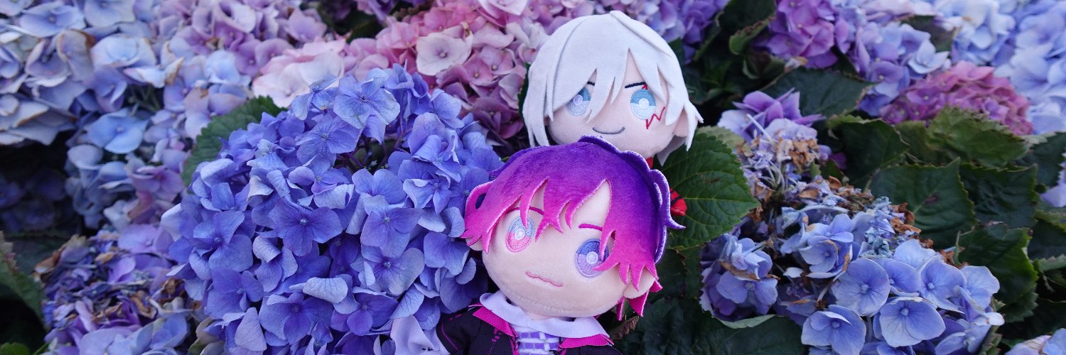 carinatse's profile banner image