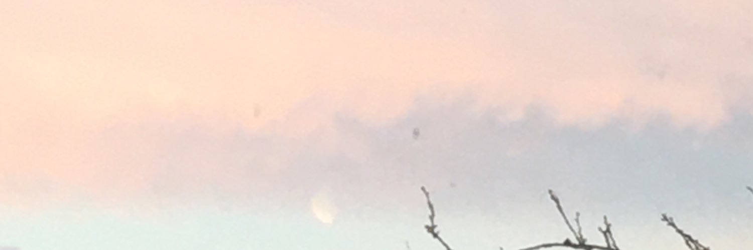 nonibette's profile banner image