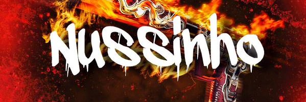 NUSSINHO🇩🇰 banner
