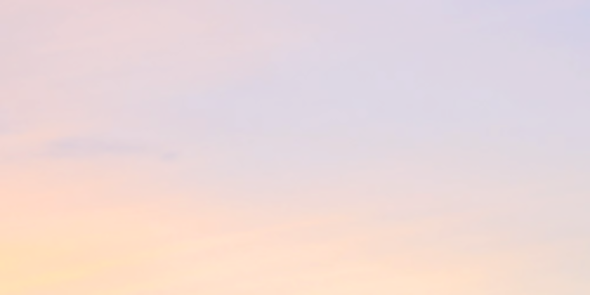 damnreedus's profile banner image