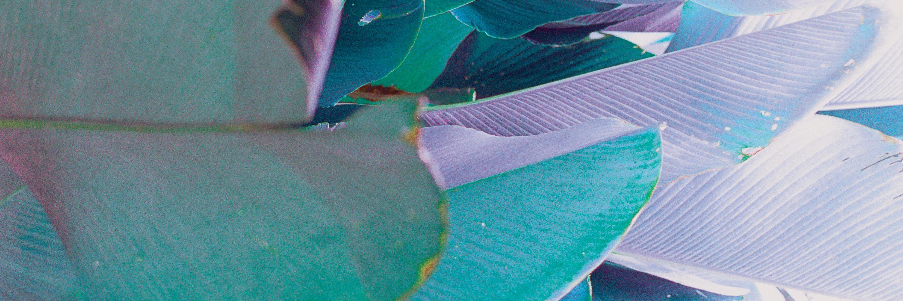 oddoneoutmag's profile banner image