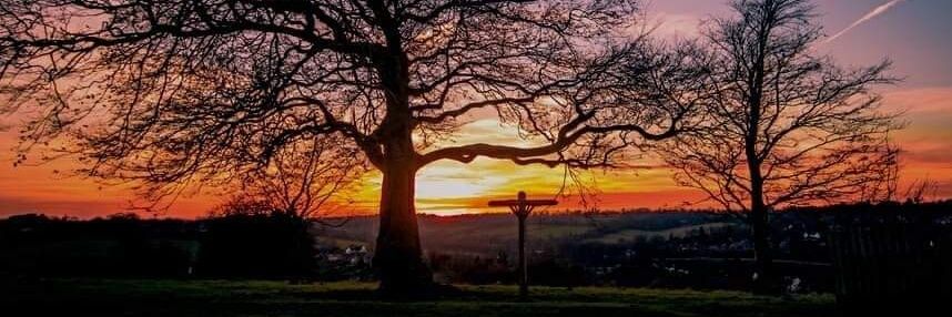 CoulsdonMart's profile banner image