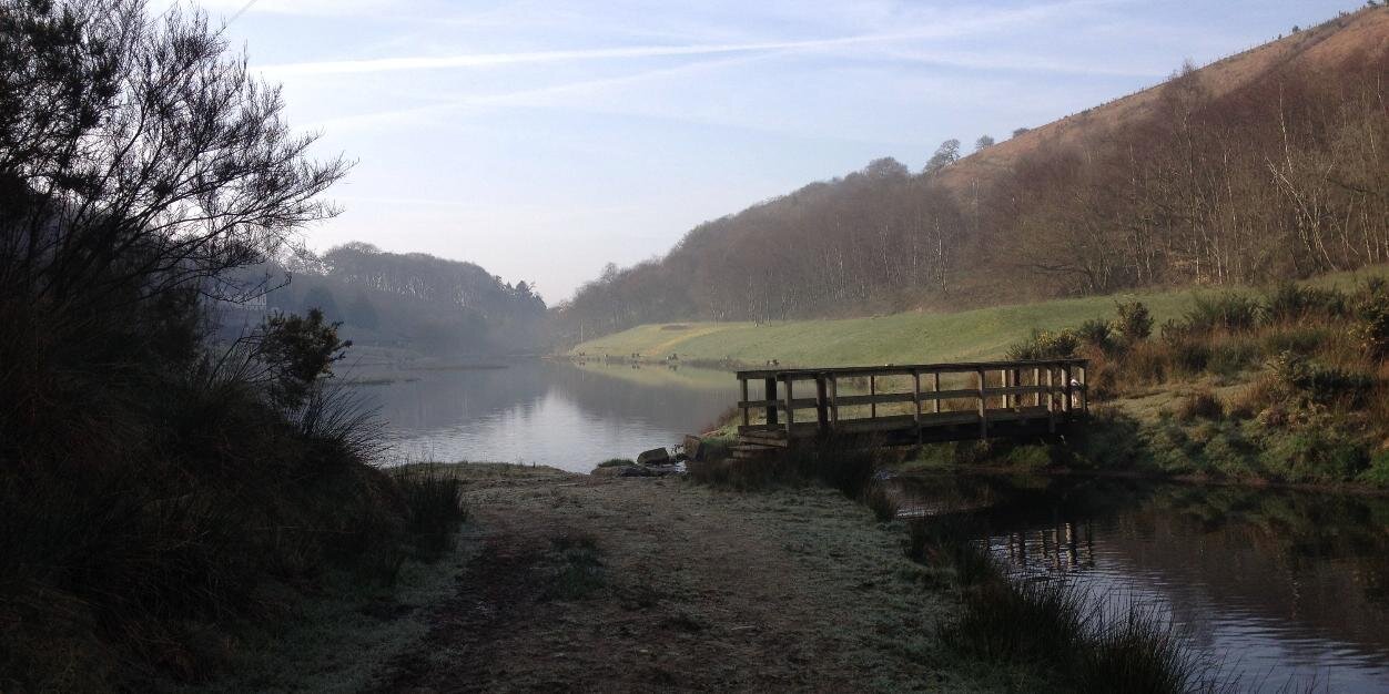 Sue Heatherington banner