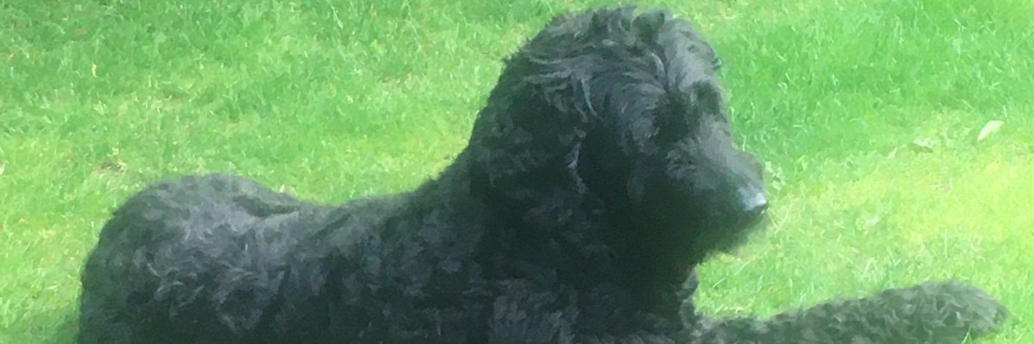 RedK238's profile banner image