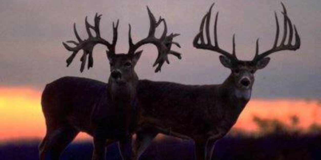 jacobgrimes97's profile banner image