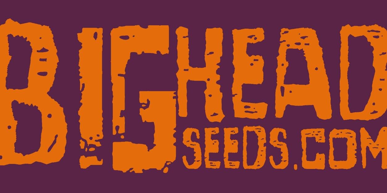 bigheadseeds's profile banner image