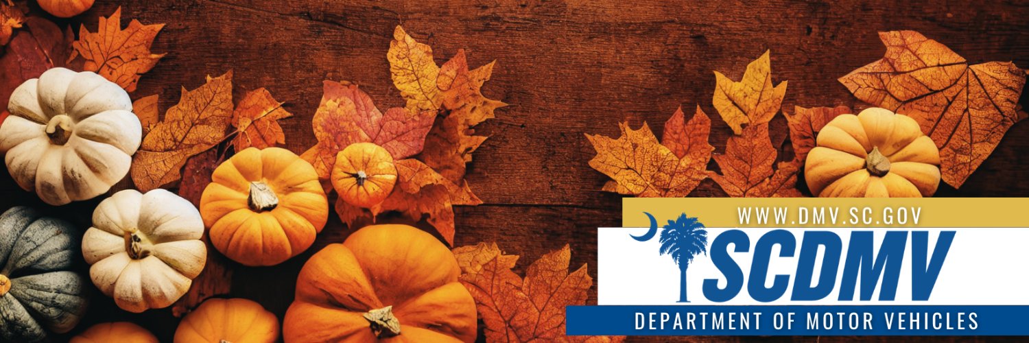 SC_DMV's profile banner image