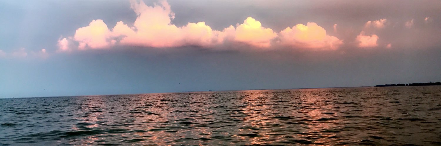 عبد الله بن علي banner