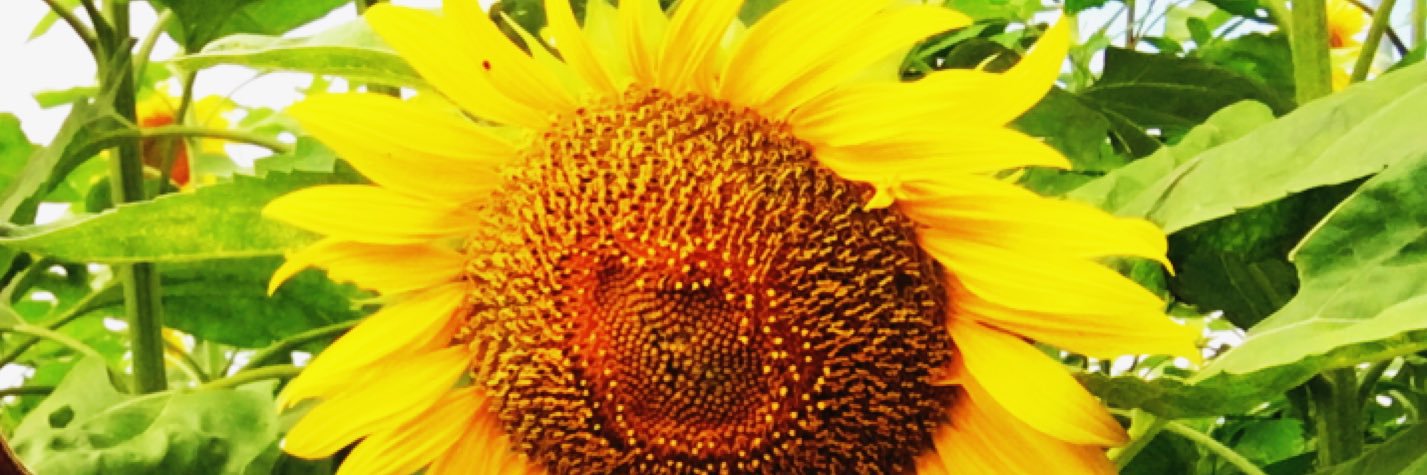 rrk0817's profile banner image