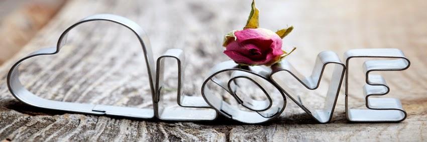 DailyLovQuotes's profile banner image