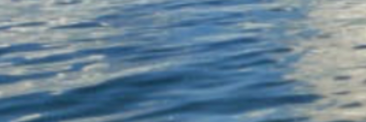 Sangu3Revathi's profile banner image