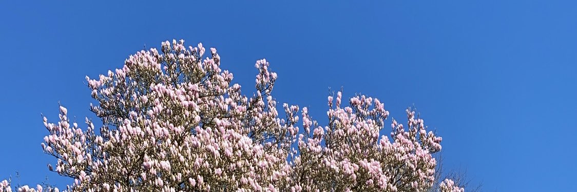 kitox2k1's profile banner image