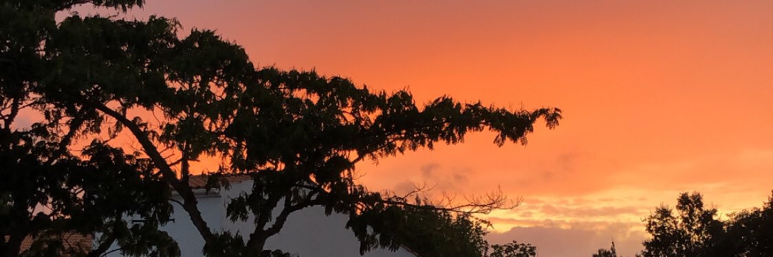 Lolasanz_'s profile banner image