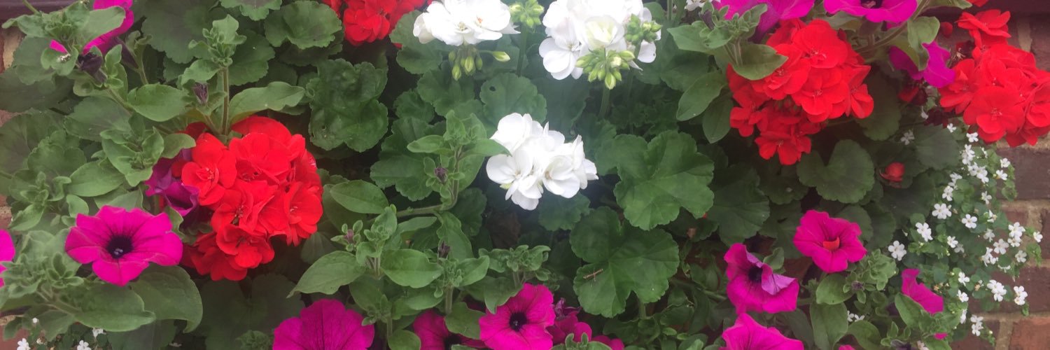 deborah_dcotti1's profile banner image