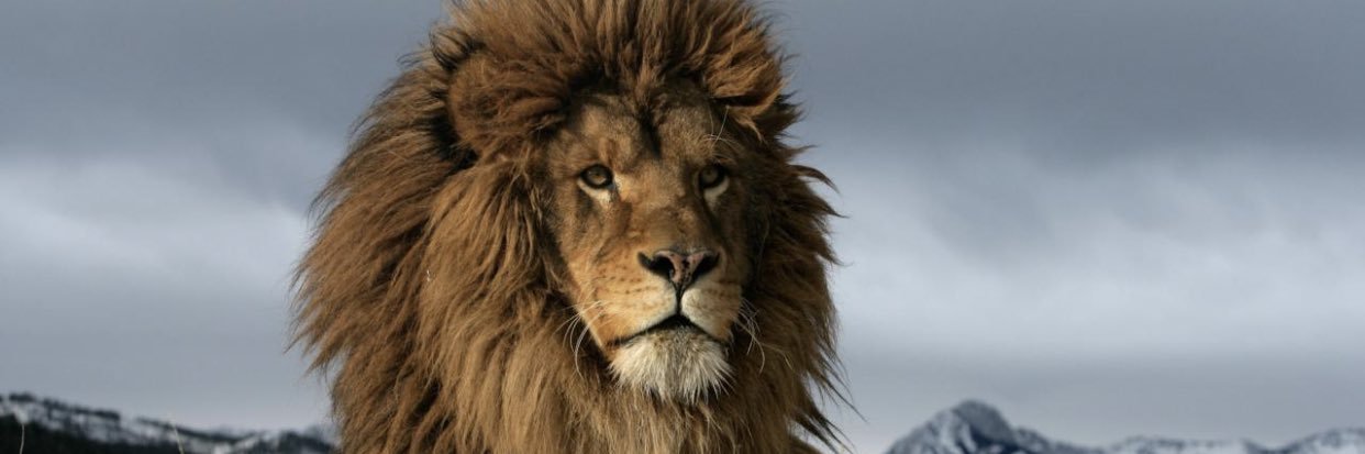 J_Hwier's profile banner image