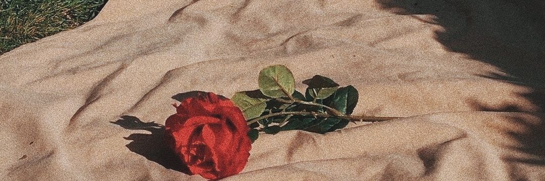 p9uins's profile banner image