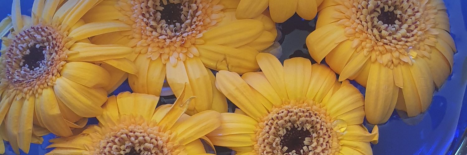 canvatan57's profile banner image
