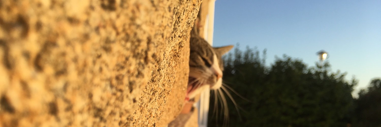 AubiAubz's profile banner image