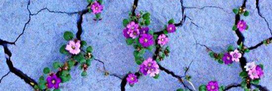 Sara_kml's profile banner image