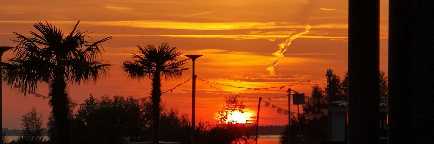 Suniek's profile banner image