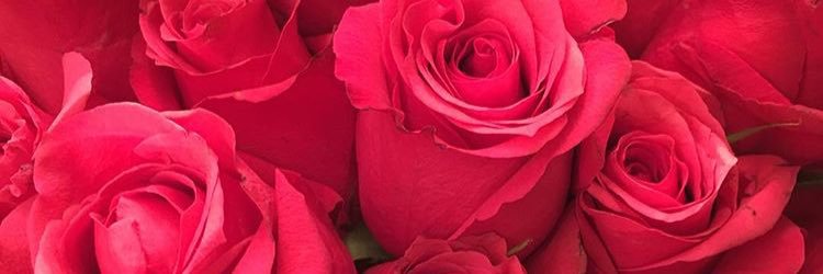 blvdgrier's profile banner image