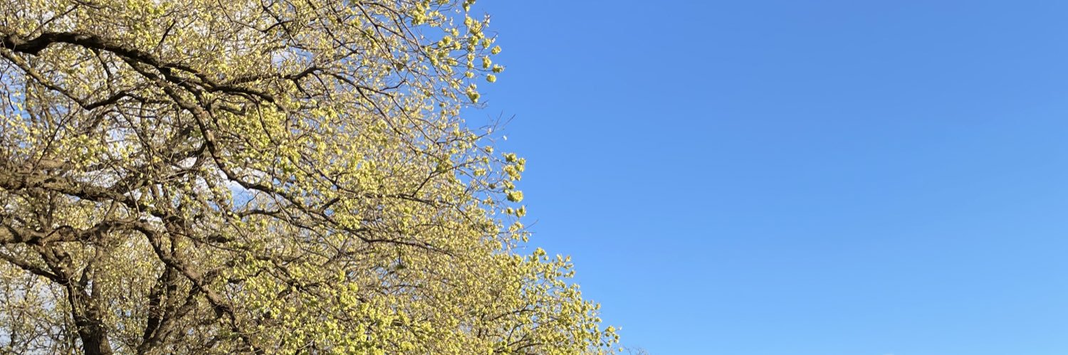 charlie internet banner
