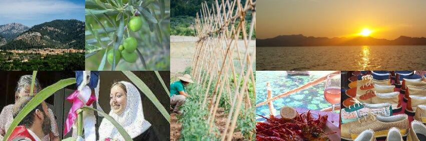 NATUREVENTSELVA's profile banner image